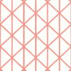 BOX KITE T10137